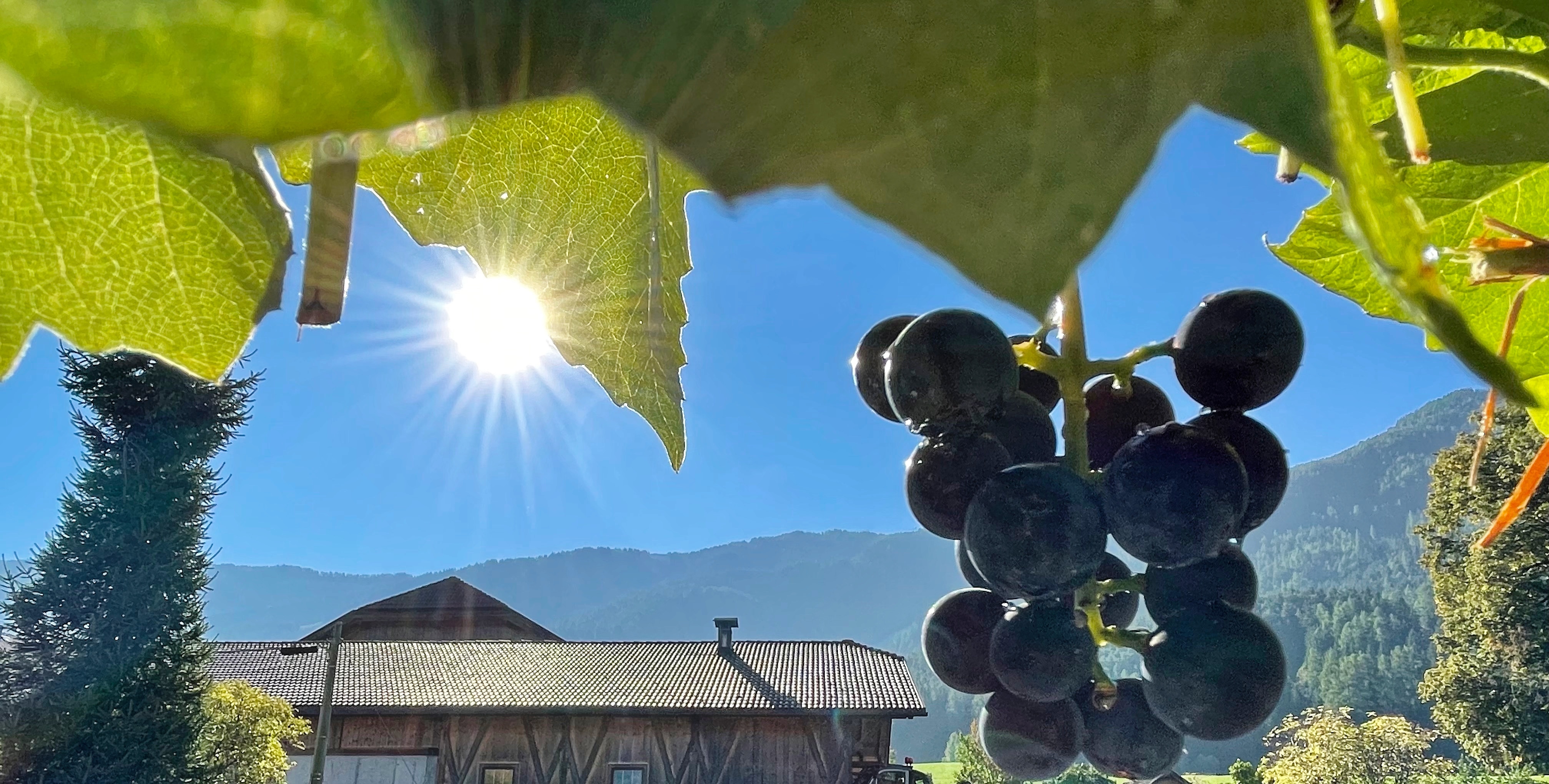 Skihotel: Ferienwohnungen Garni Untermoarhof - Haus | Umgebung