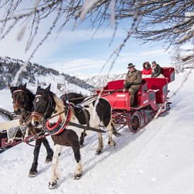 Skihotel: Pferdeschlittenfahrt Winter - Basekamp Mountain Budget Hotel