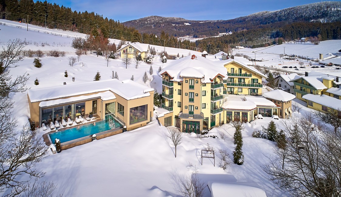 Skihotel: Hotel Reinerhof