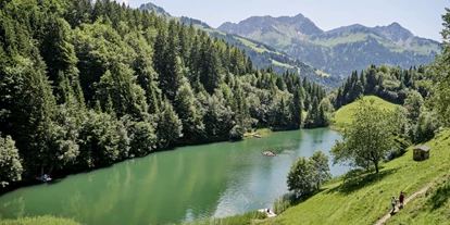 Hotels an der Piste - PLZ 6881 (Österreich) - Rössle Appartements
