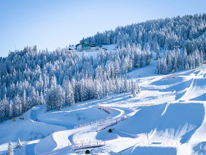 Hotels an der Piste - Ramsau am Dachstein - Hotel Planaihof