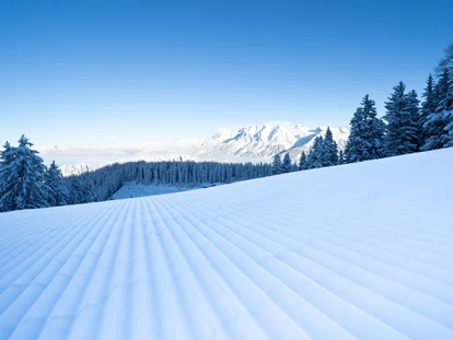 Hotels an der Piste - Ramsau am Dachstein - Hotel Planaihof