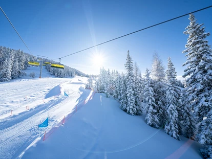 Hotels an der Piste - Ramsau am Dachstein - Hotel Planaihof
