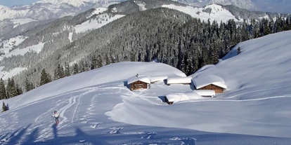 Hotels an der Piste - Skiraum: vorhanden - Unterlangkampfen - Feldalm Skitourengebiet - Hotel Wastlhof