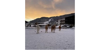 Hotels an der Piste - Skiraum: vorhanden - Unterlangkampfen - Eigener Reitstall mit Reitkursen und Schule direkt am Hotelgelände - Hotel Wastlhof