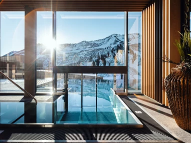 Skihotel: Infinitypool  - Hotel Alpenstern