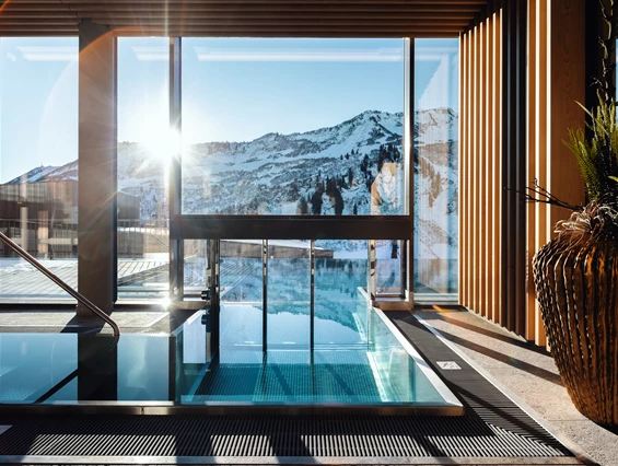 Skihotel: Infinitypool  - Hotel Alpenstern