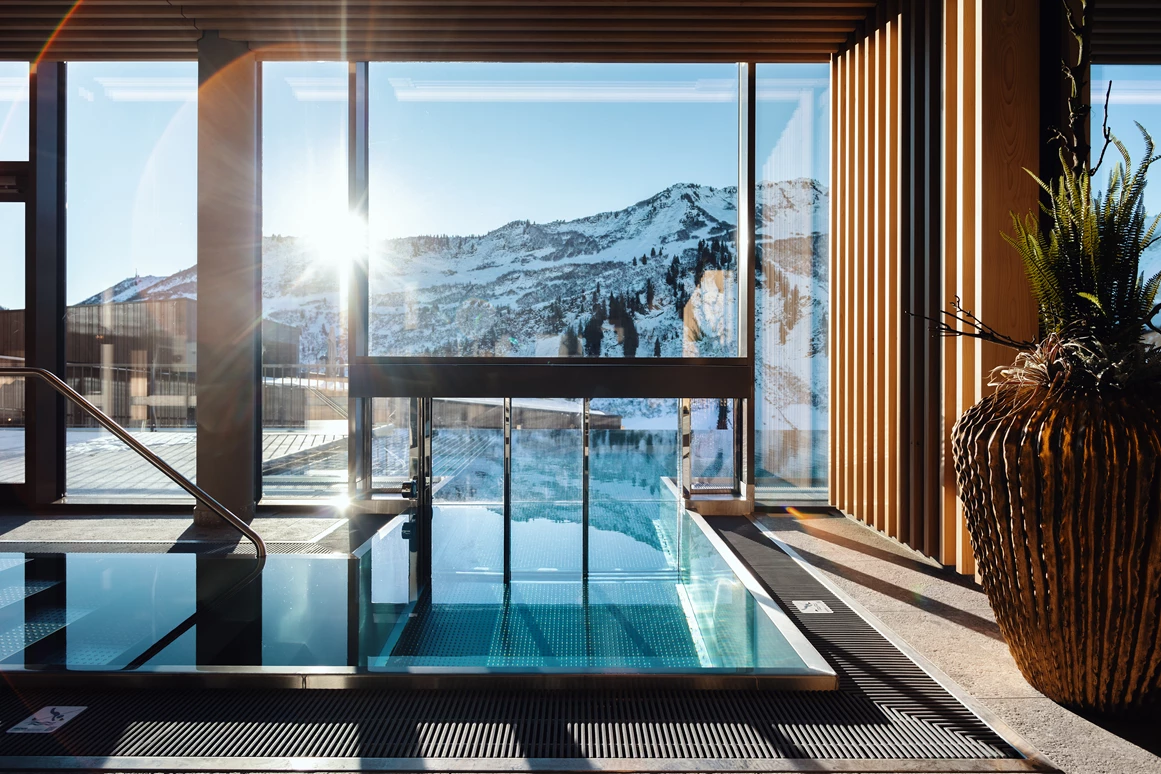 Skihotel: Infinitypool  - Hotel Alpenstern
