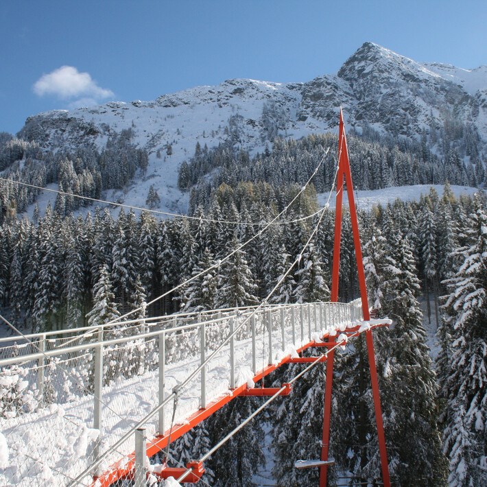 Hotel ZWÖLFERHAUS Ausflugsziele Golden Gate & Baumzipfelweg