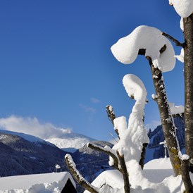 Skihotel: Alpinhotel Jesacherhof - Gourmet & Spa