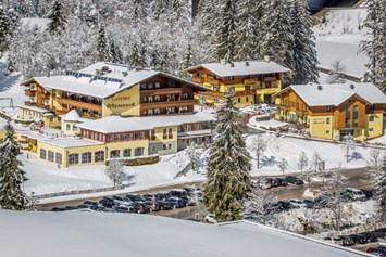 Skihotel: Winteransicht - Hotel Wieseneck GmbH