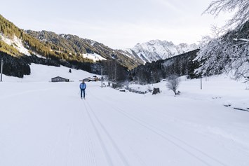 Skihotel: Langlaufen - Traumhotel Alpina ****S