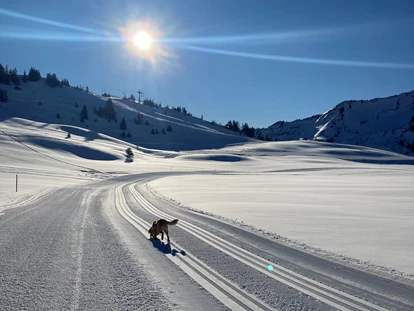 Hotels an der Piste - Mellau - Natur.Genuss.Hotel Sonnasita