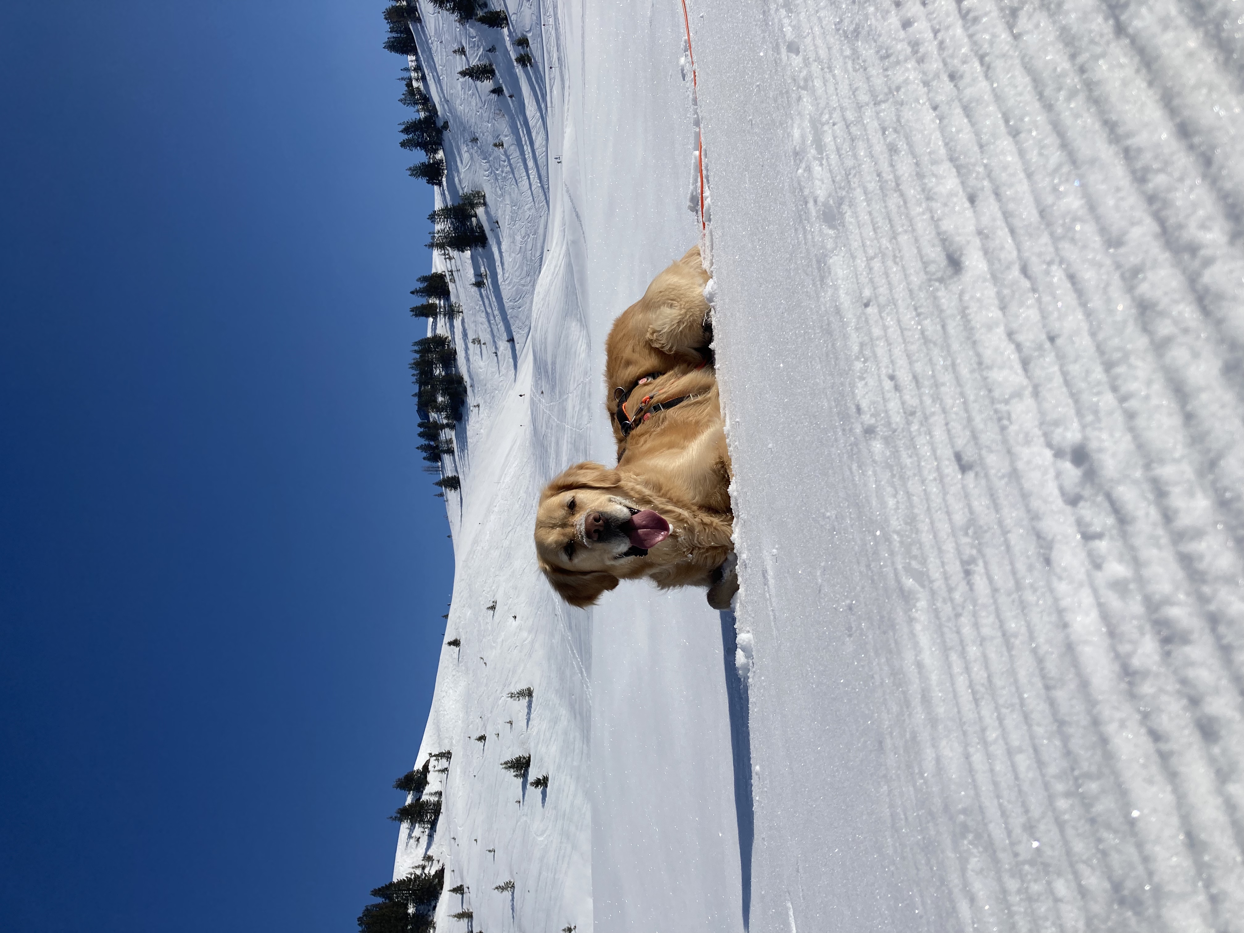 Skihotel: Natur.Genuss.Hotel Sonnasita - Haus | Umgebung