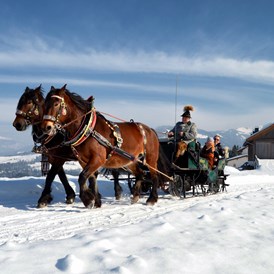 Skihotel: Pferdekutschenfahrten - Landhotel-Gasthaus Traunstein