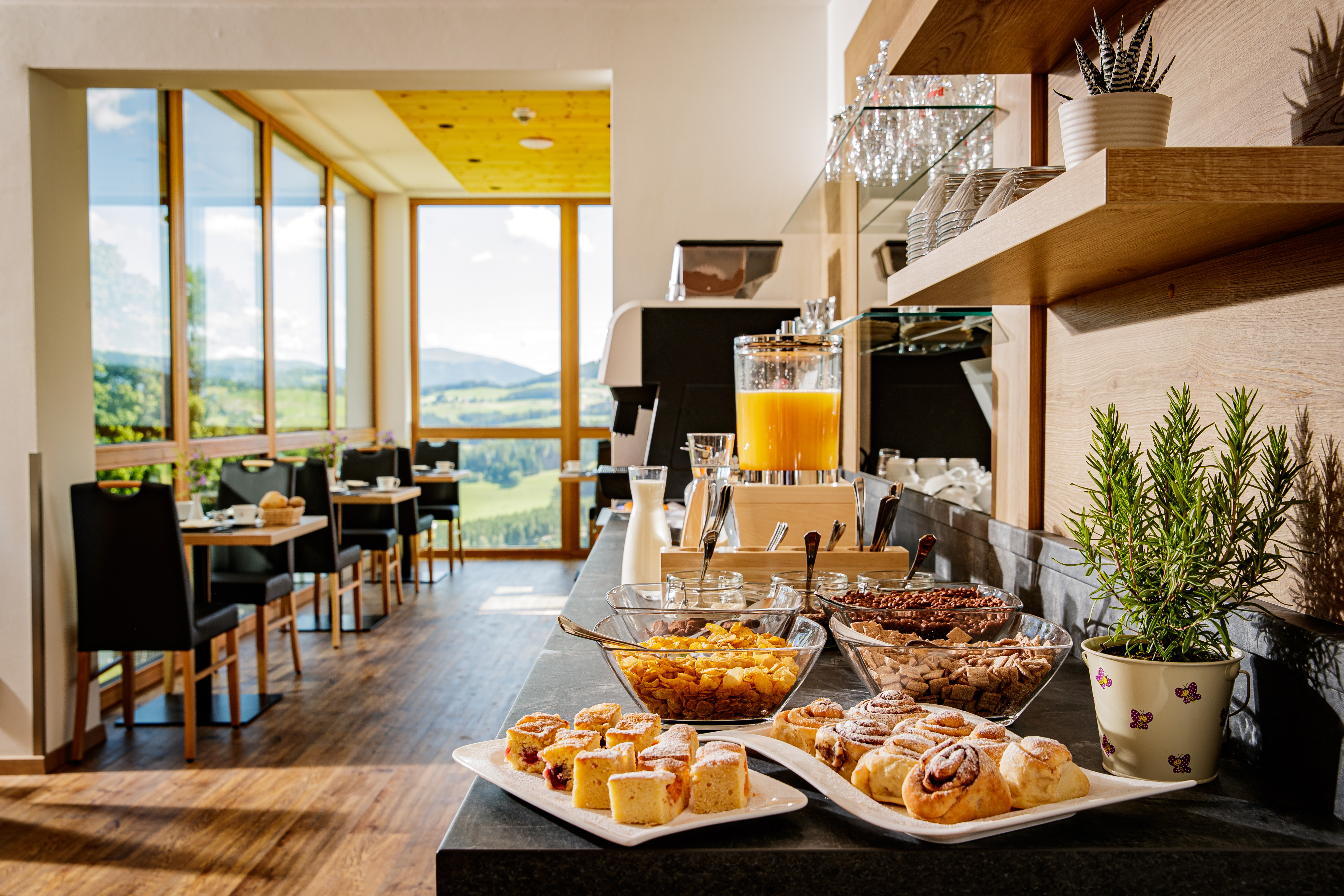 Hotels an der Piste - Hotel-Schwerpunkt: Skifahren & Wellness - Steiermark - Frühstücksbuffet - Der Almblick