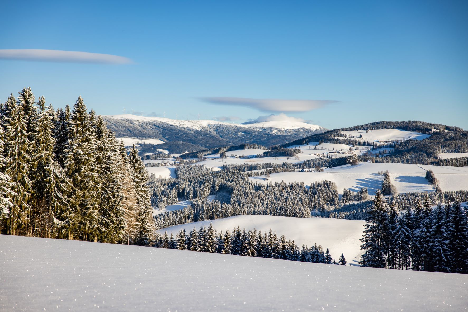 Skihotel: Winteridylle - Der Almblick - Ski | Piste