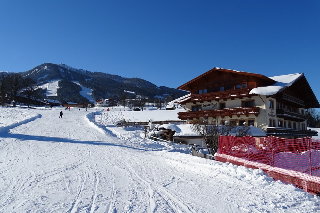 Skihotel: Hausberg Hochwurzen - Hotel Pension Sporthof
