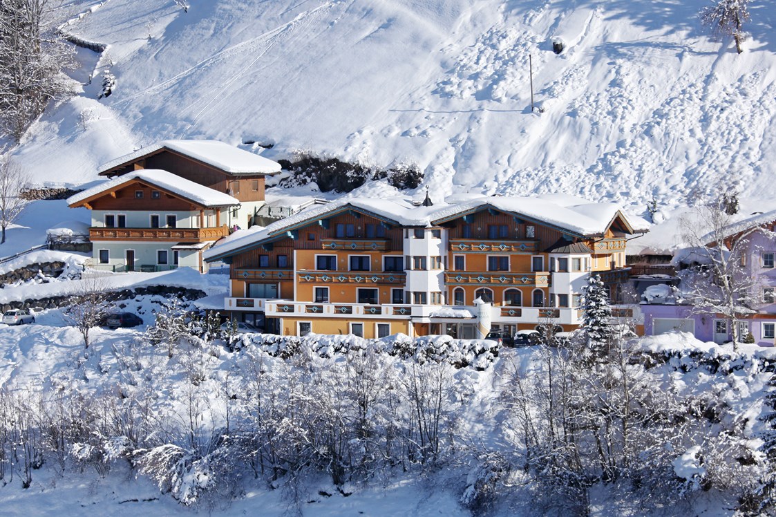 Skihotel: Hotel Pension Palfengut