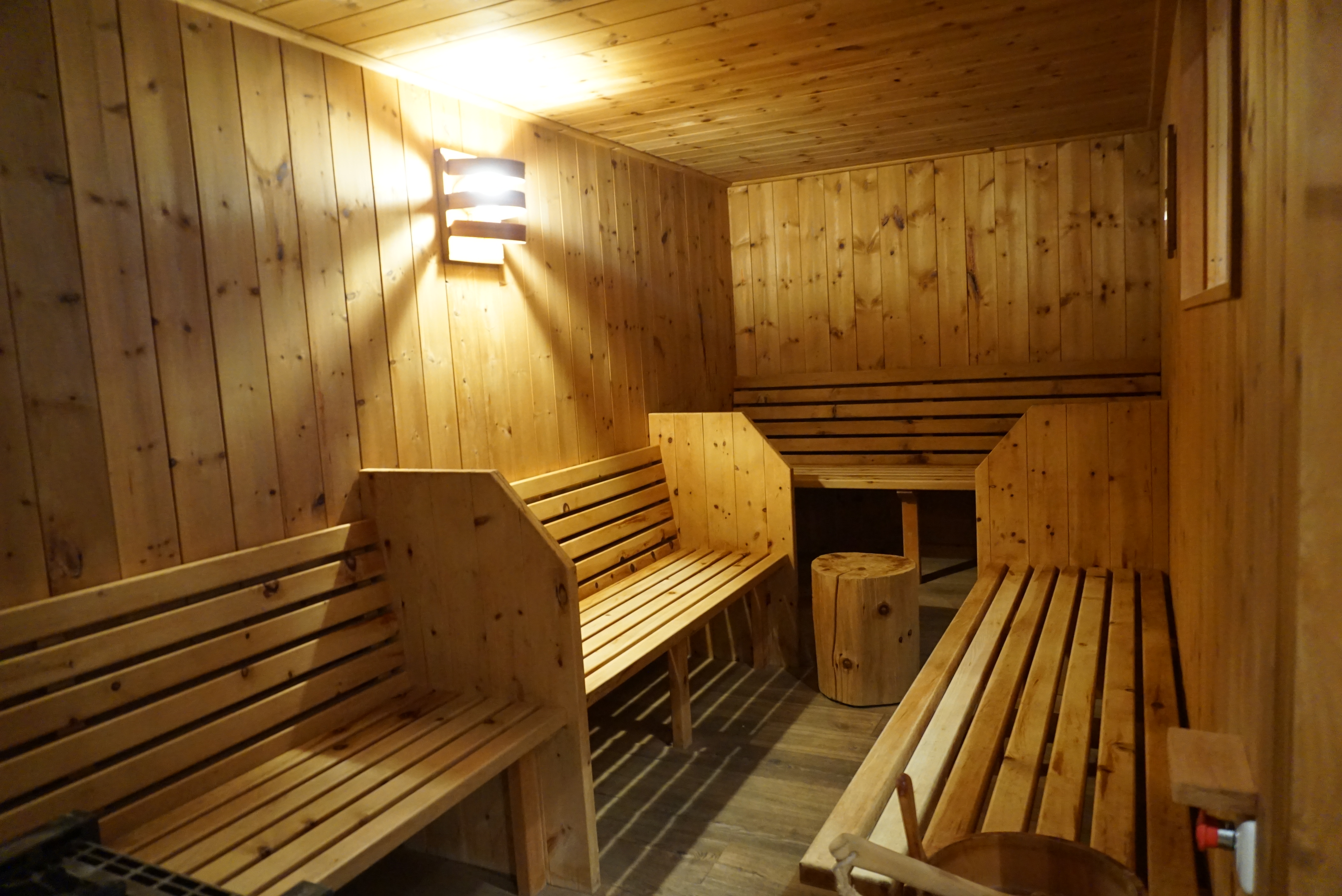 Skihotel: Hotel ad Laca