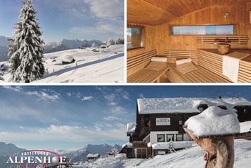 Skihotel: Unsere Vielfalt  - Sattleggers Alpenhof & Feriensternwarte 