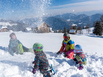 Hotels an der Piste - Mallnitz - Sattleggers Alpenhof & Feriensternwarte