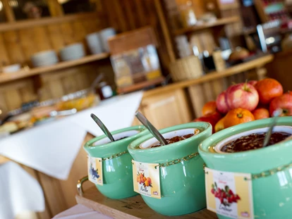 Hotels an der Piste - Mallnitz - Sattleggers Alpenhof & Feriensternwarte