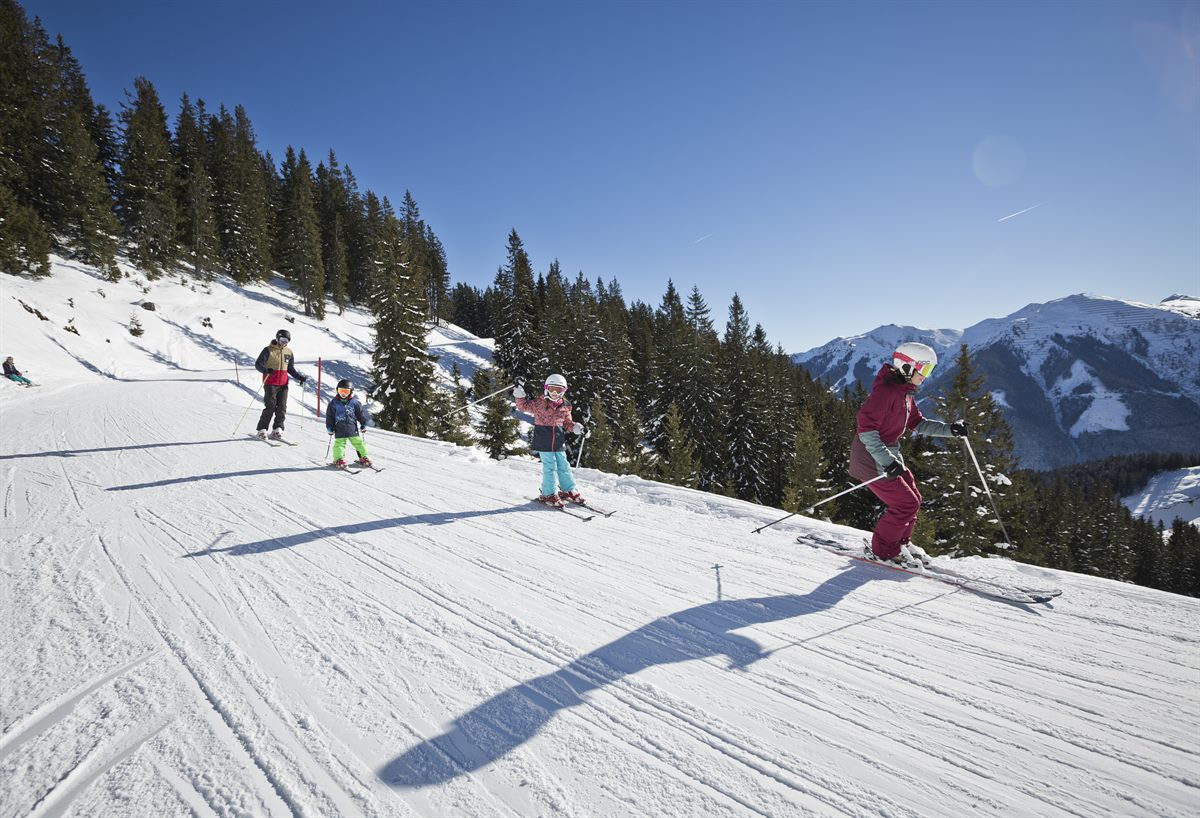Berghotel Seidlalm Ausflugsziele Skigebiet Leogang - Fieberbrunn