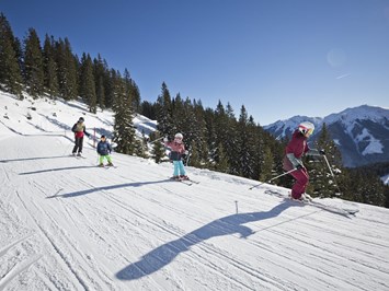 mountainlovers Berghotel*** SeidlAlm Ausflugsziele Skigebiet Leogang - Fieberbrunn