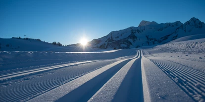 Hotels an der Piste - Mellau - Langlaufen in Damüls 
Hotel - Garni Alpina
Ferienwohungen und Zimmer - Hotel Garni Alpina