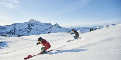Hotels an der Piste - Mellau - Skifahren 
Hotel - Garni Alpina
Ferienwohungen und Zimmer
Bregenzerwald - Hotel Garni Alpina