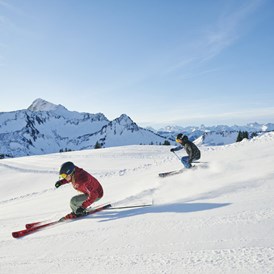 Skihotel: Skifahren 
Hotel - Garni Alpina
Ferienwohungen und Zimmer - Hotel Garni Alpina
