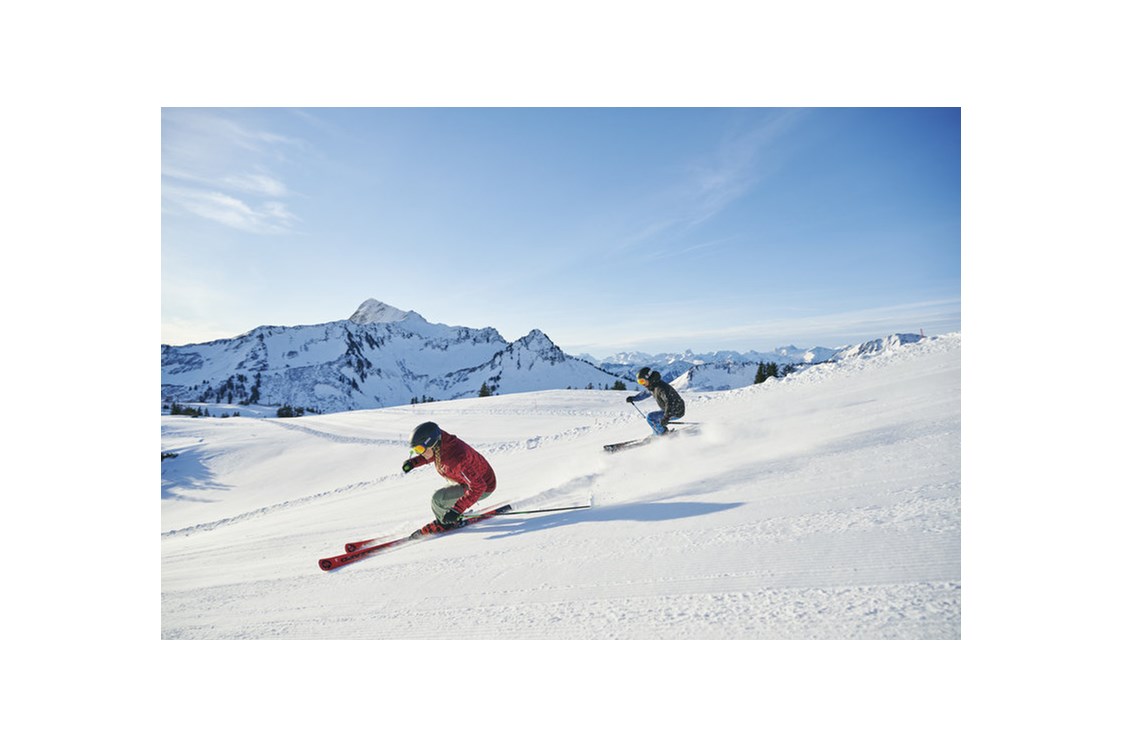 Skihotel: Skifahren 
Hotel - Garni Alpina
Ferienwohungen und Zimmer - Hotel Garni Alpina