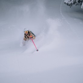 Skihotel: powdern in Damüls - Hotel Garni Alpina