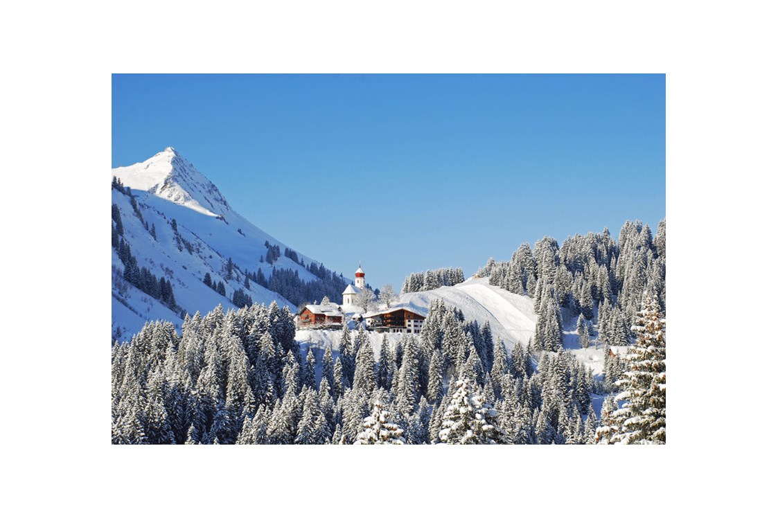 Skihotel: Winter in Damüls Hotel - Garni Alpina - Hotel Garni Alpina