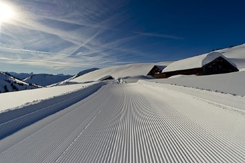 Skihotel: Schneeschuhwandern in Damüls Hotel- Garni Alpina - Hotel Garni Alpina
