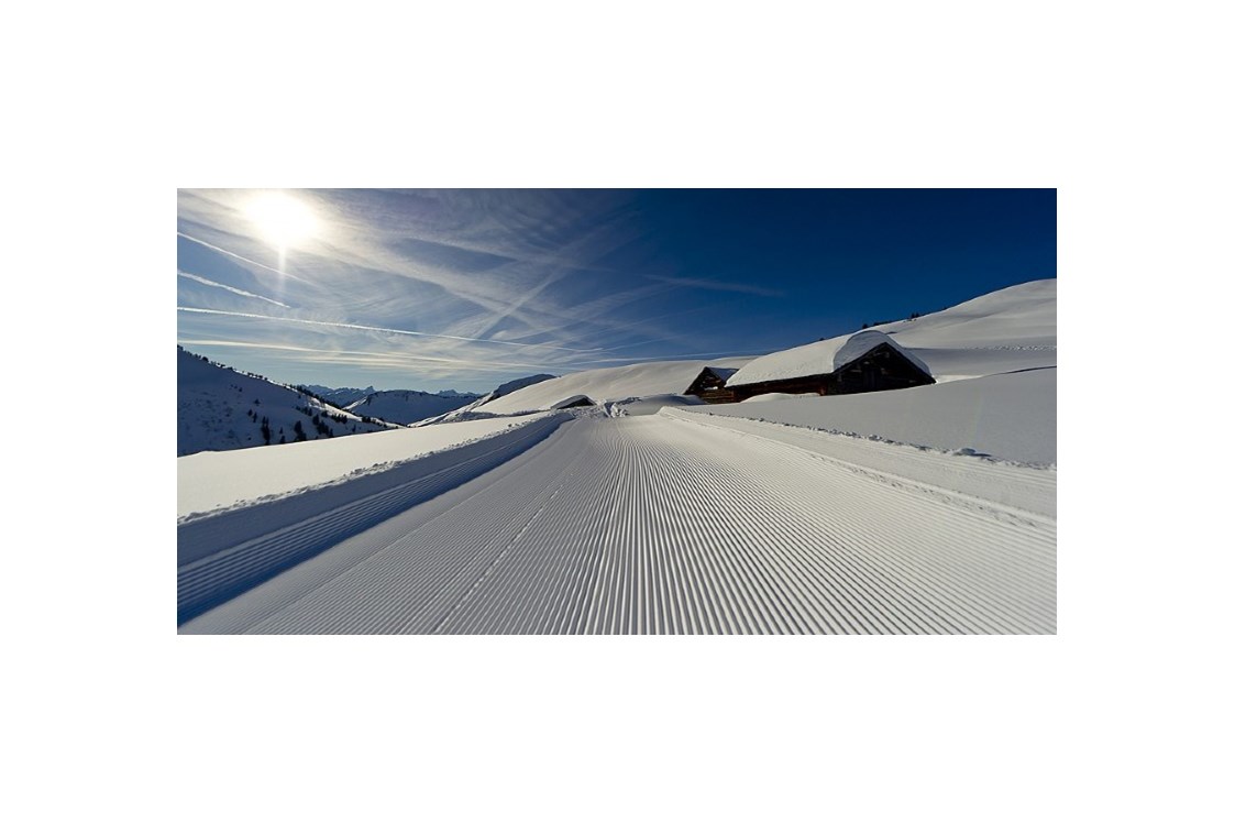 Skihotel: Schneeschuhwandern in Damüls 
Hotel - Garni Alpina
Ferienwohungen und Zimmer - Hotel Garni Alpina