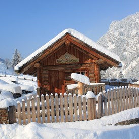 Skihotel: Villa Edelweiß - Hotel-Pension Bruckreiterhof