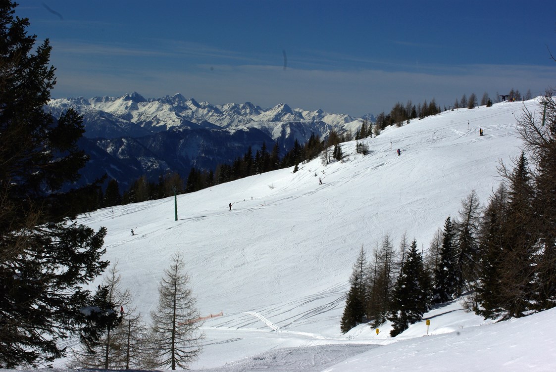 Skihotel: Skigebiet - Almhotel Fichtenheim