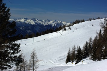Skihotel: Skigebiet - Almhotel Fichtenheim