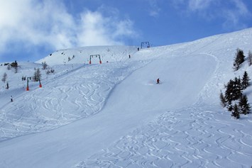 Skihotel: Skipiste am Nassfeldlift - Almhotel Fichtenheim