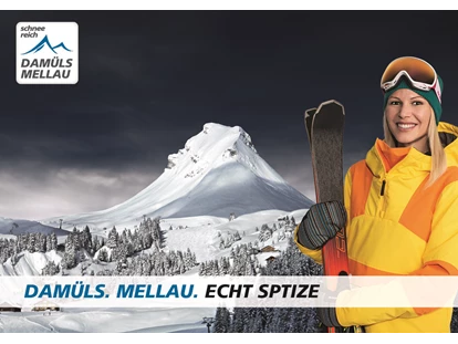Hotels an der Piste - Mellau - Skigebiet Mellau-Damüls  - Hotel die Wälderin