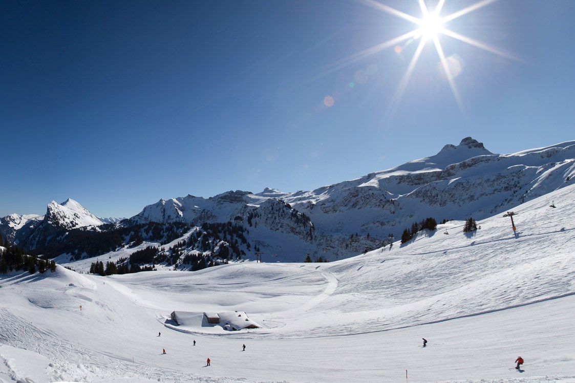Skihotel: Skigebiet Mellau-Damüls - Hotel die Wälderin