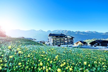 Skihotel: Alps Lodge im Sommer - Alps Lodge