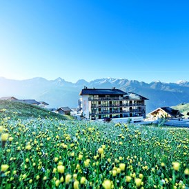 Skihotel: Alps Lodge im Sommer - Alps Lodge