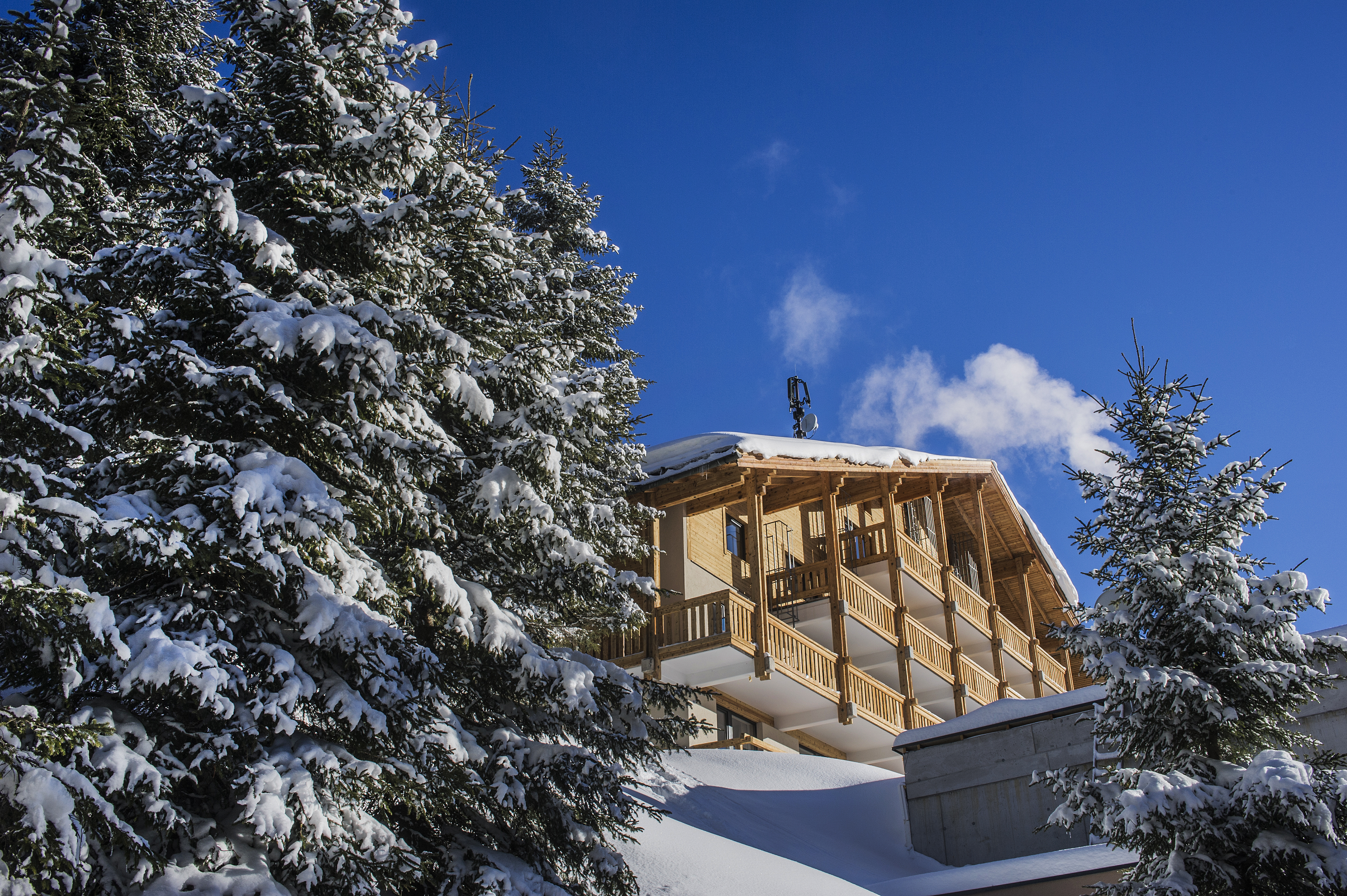 Skihotel: Hotel Zirbenhof Hochfügen