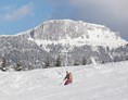 Skihotel: Vergünstigte Skipässe für den Lärchenhof Skilift sowie das Skigebiet Steinplatte - Waidring - Der Lärchenhof