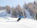 Skihotel: Freude am Wintersport mit unseren ausgebildeten Schneesportlehrern - Der Lärchenhof