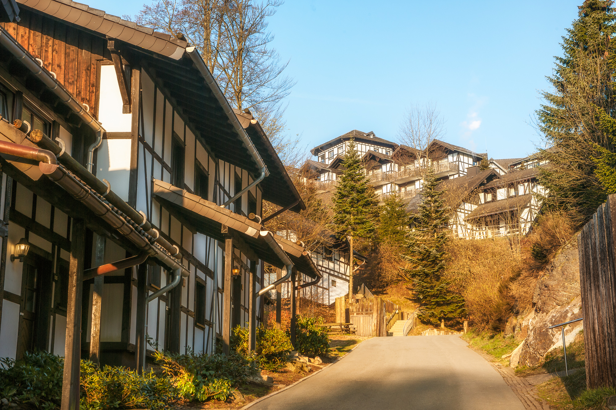 Skihotel: Dorint Resort Winterberg