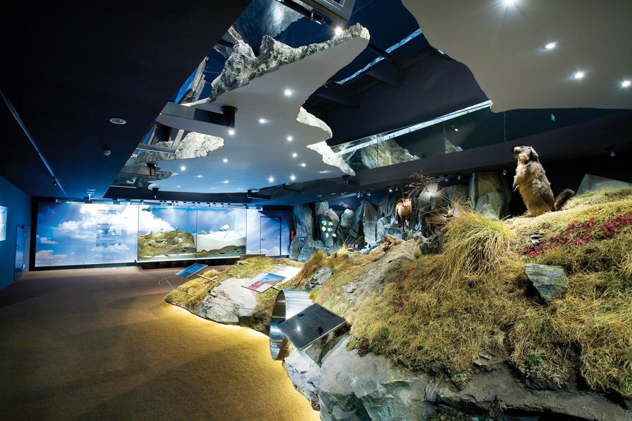 amiamo - Familotel Zell am See Ausflugsziele Nationalparkzentrum in Mittersill